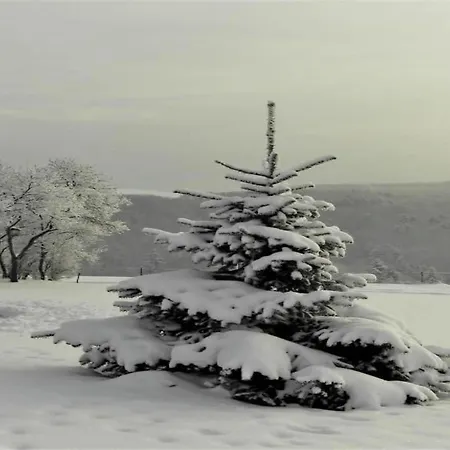 Serene In Waxweiler